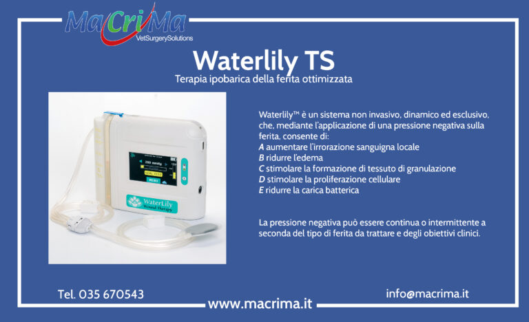 Waterlily TS