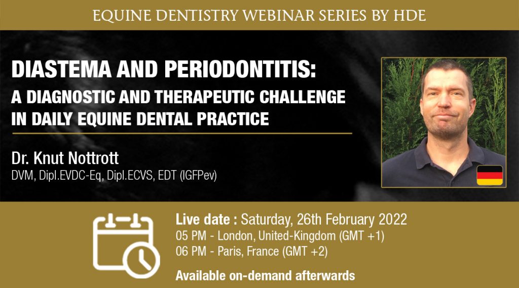 Diastema and periodontitis – a diagnostic and therapeutic challenge in daily equine dental practice